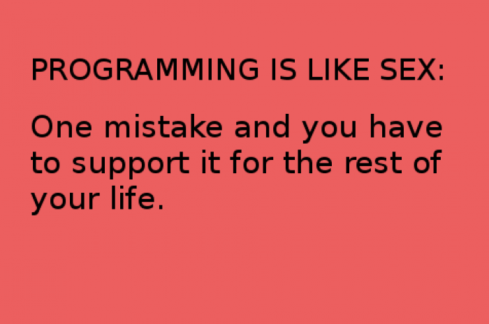 Programming Is Like Sex 5