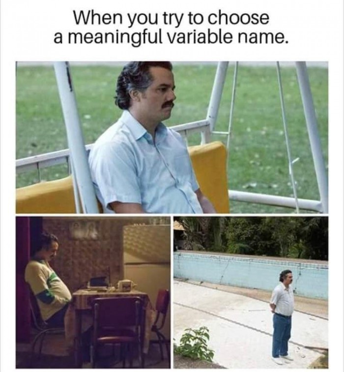 when-you-try-to-choose-a-meaningful-variable-name