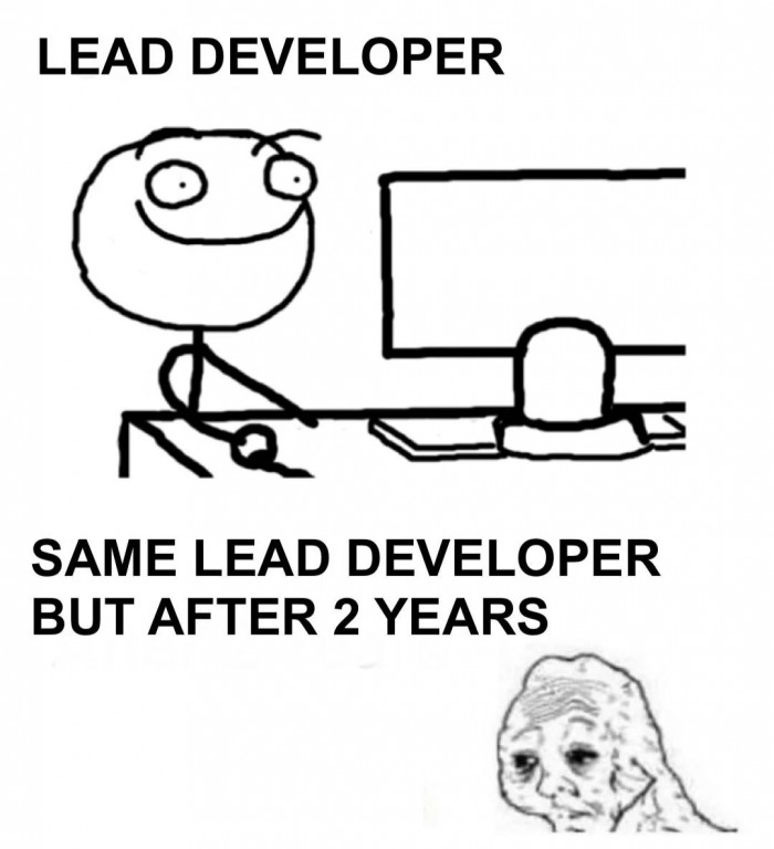 Lead Developer life