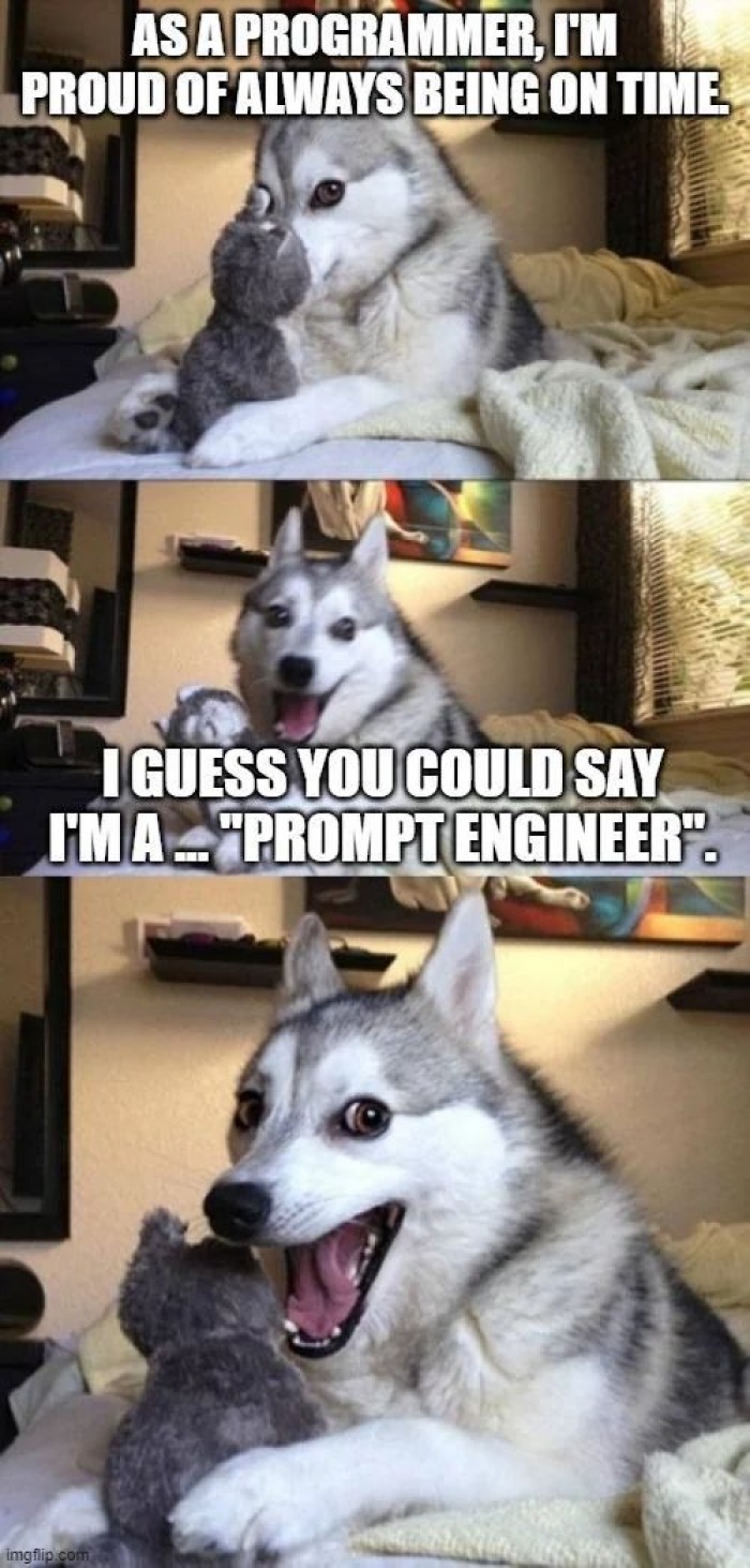Are you a prompt engineer?