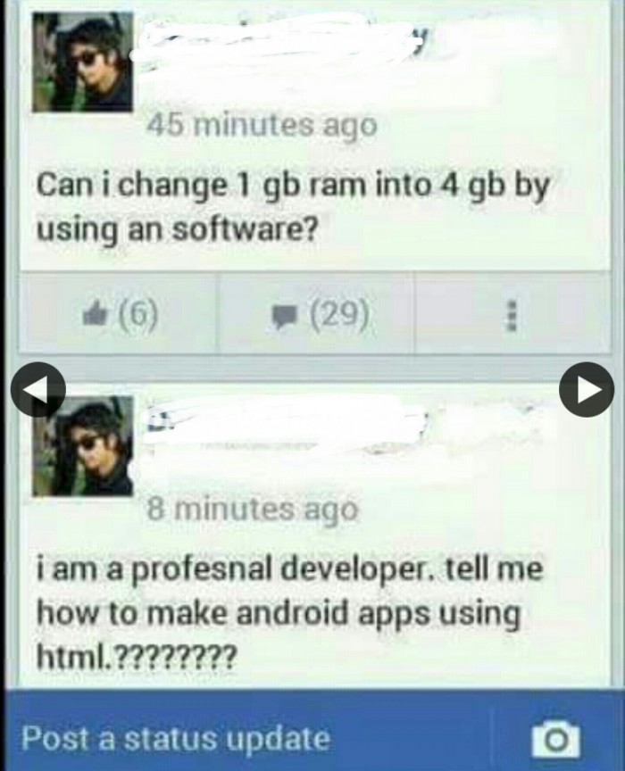"profesnal" developer