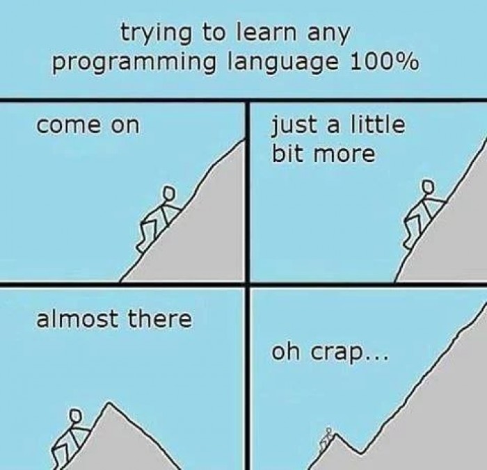 Trying to learn any programming language 100%
