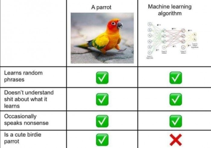 Why wouldn't you choose a parrot for your next application