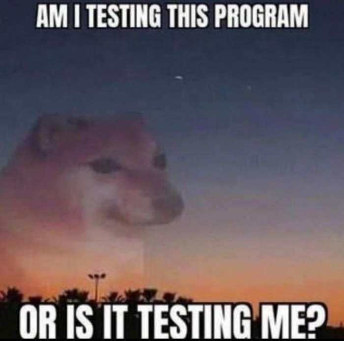 Program testing