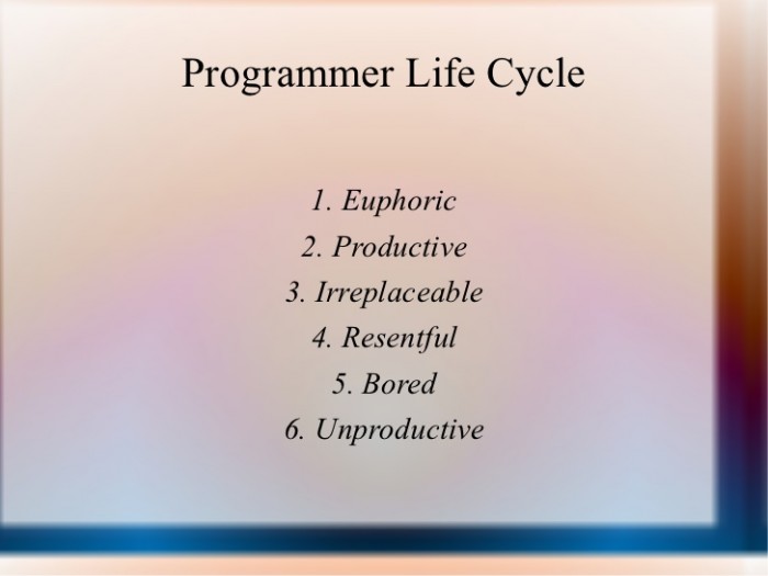 programmer life cycle