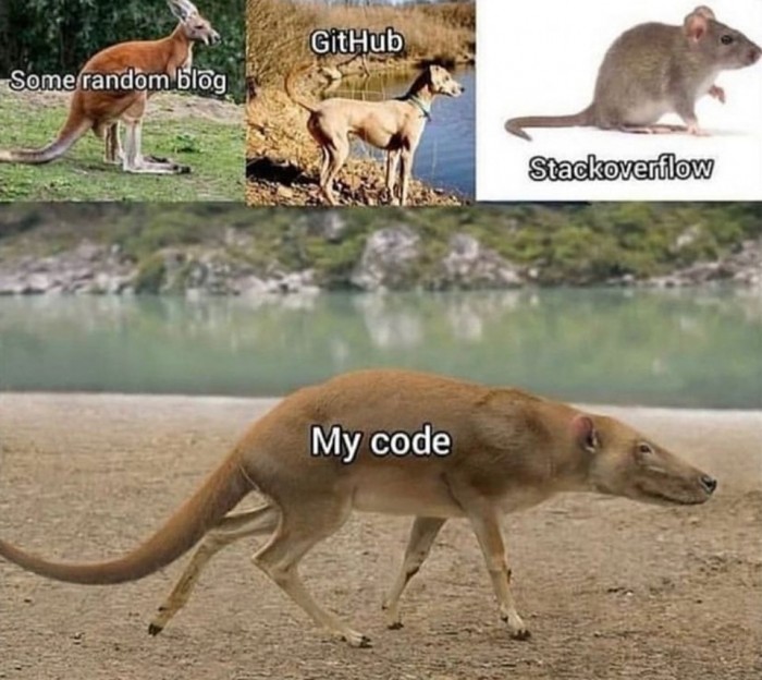 Code animal