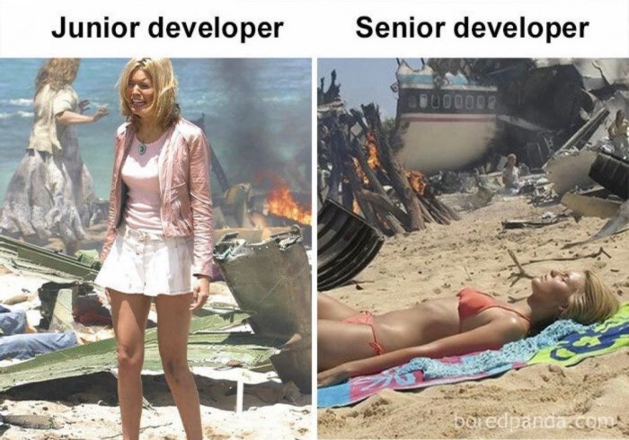 Junior developer vs. Senior developer when everything burns