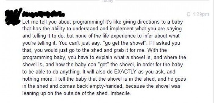 My friends accurate description of programming