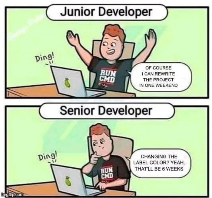Junior vs. Senior developer