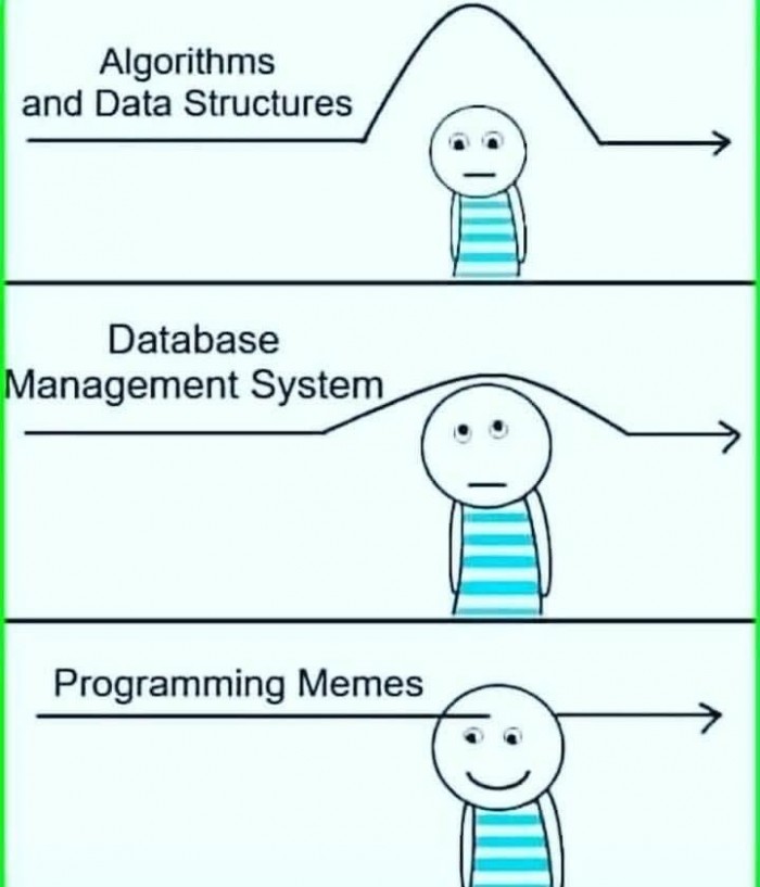 Programming memes bring me joy