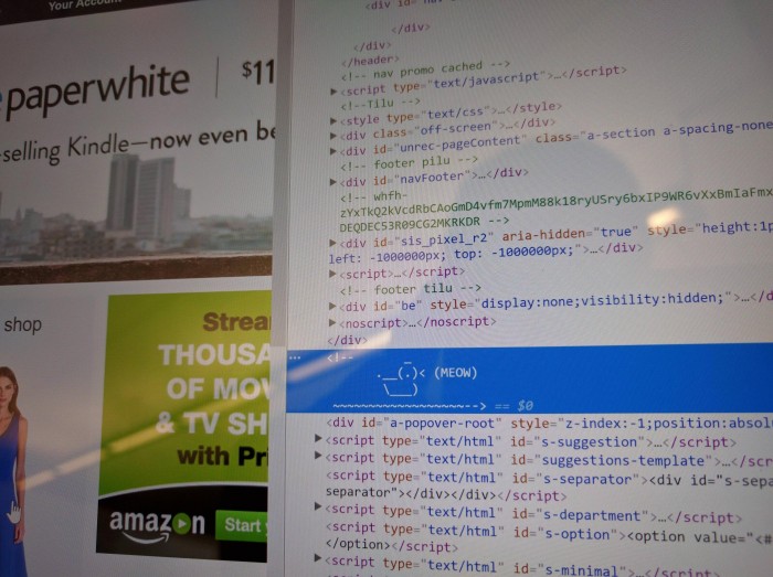 There's a meowing duck in Amazon's html code.