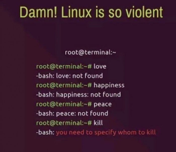 Linux is so violent