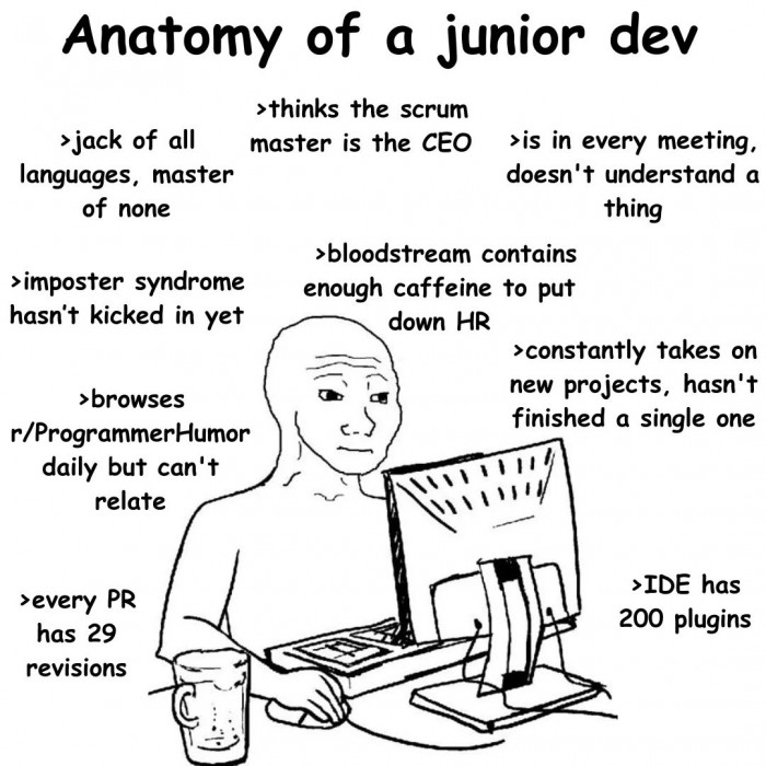 Junior Dev description