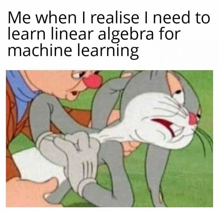 Machine Learning & Linear Algebra