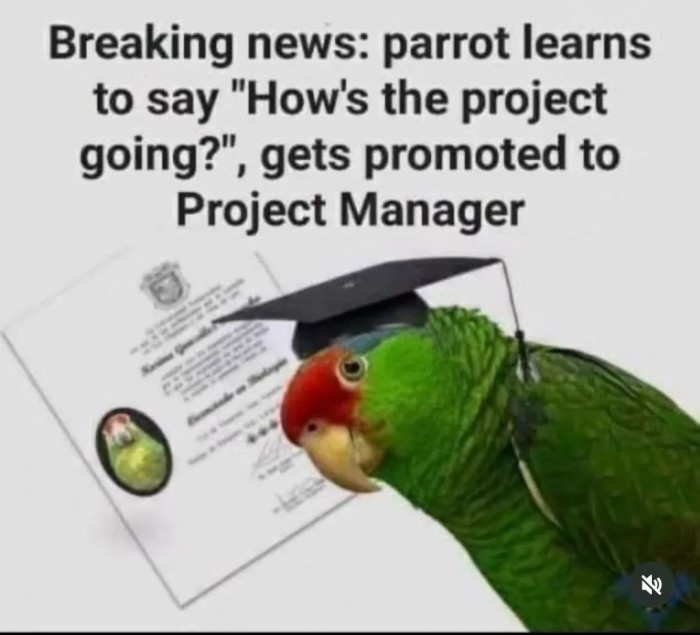 Parrot Project Manager