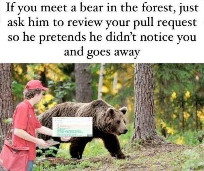 Programmer vs. bear