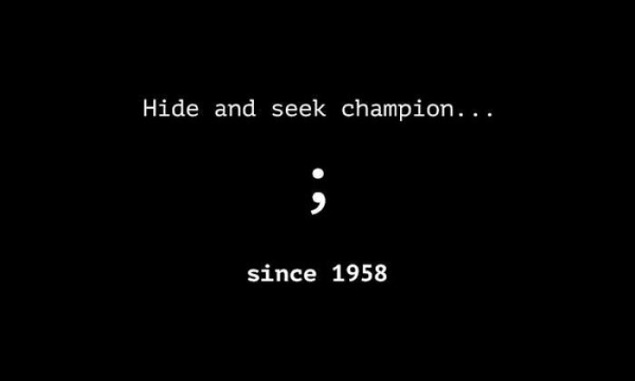 Hide and seek champion