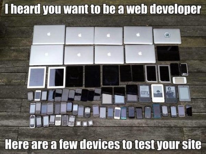 So you want to be a web developer? 