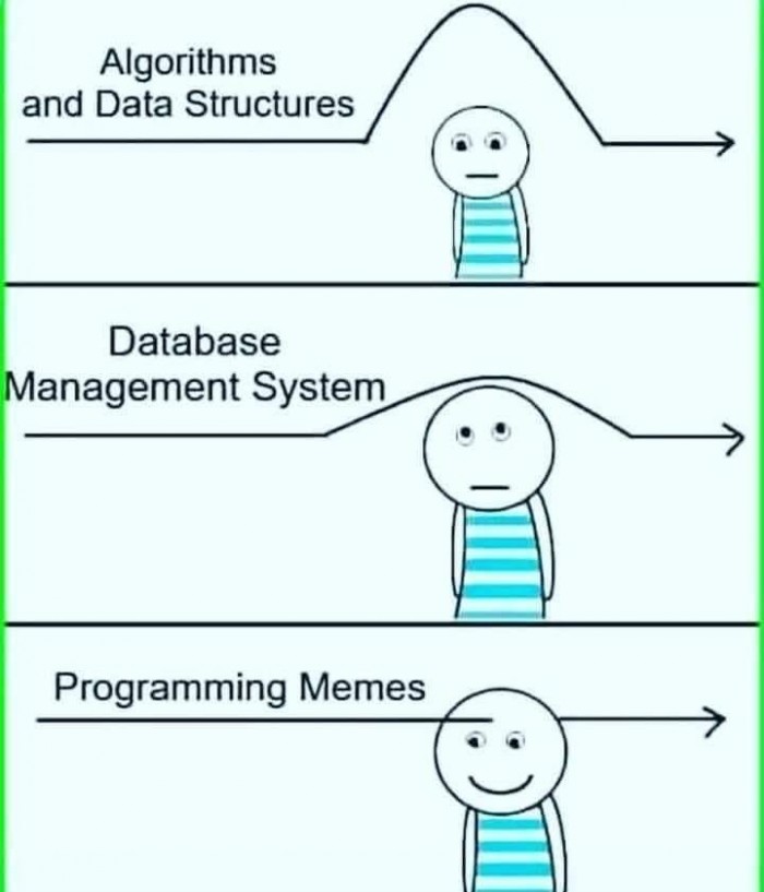 Programming memes make you happy
