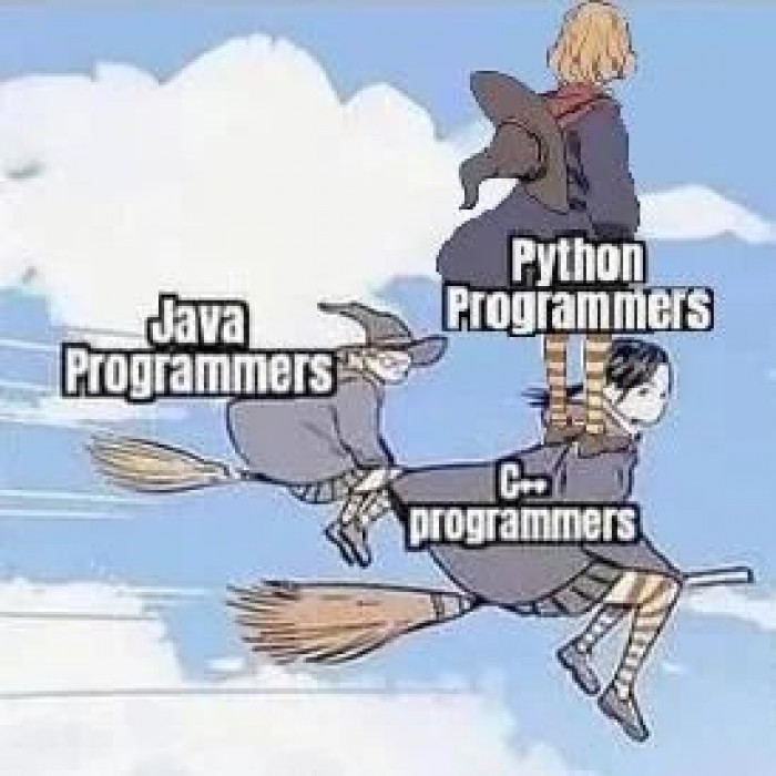 Python programmers standing on the shoulders of giants