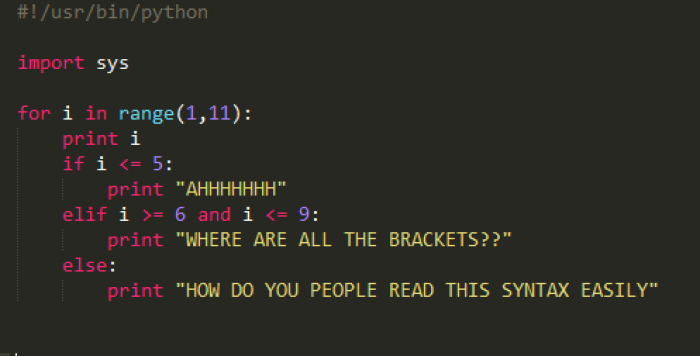 I wrote my first python program today!