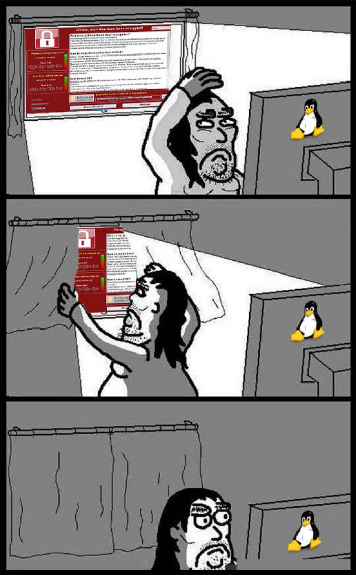 Linux users these days..