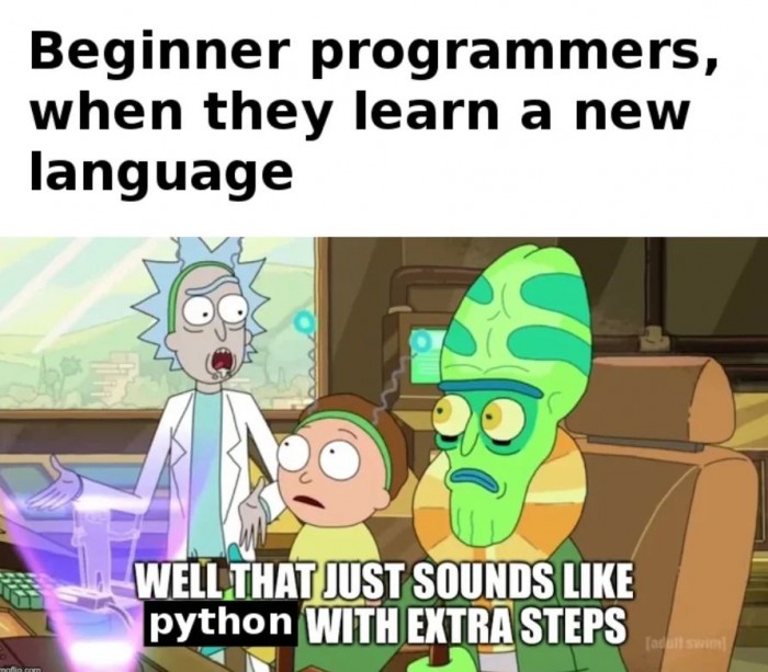 When beginners learn a new programming language...