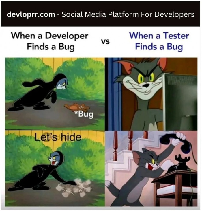 Finding a bug - developer vs. tester
