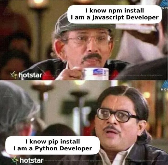 JavaScript Developer vs. Python Developer