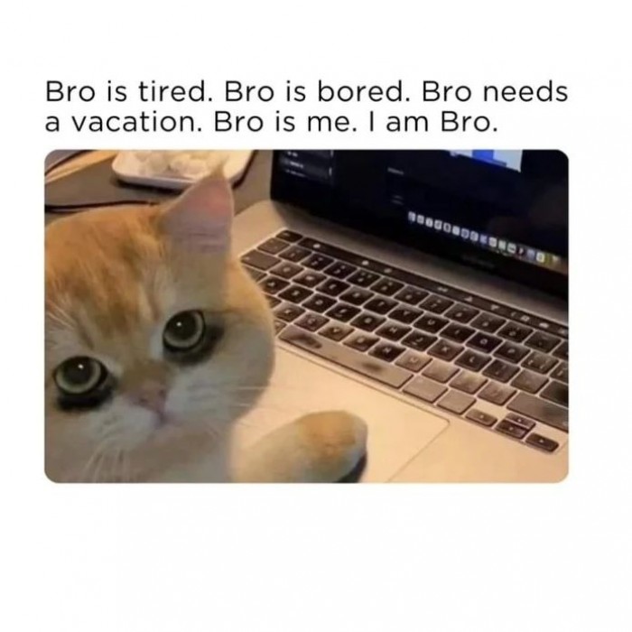 Bro needs a vacation