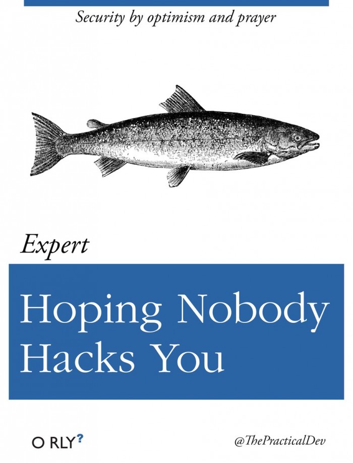 Hoping Nobody Hacks You via @ThePracticalDev