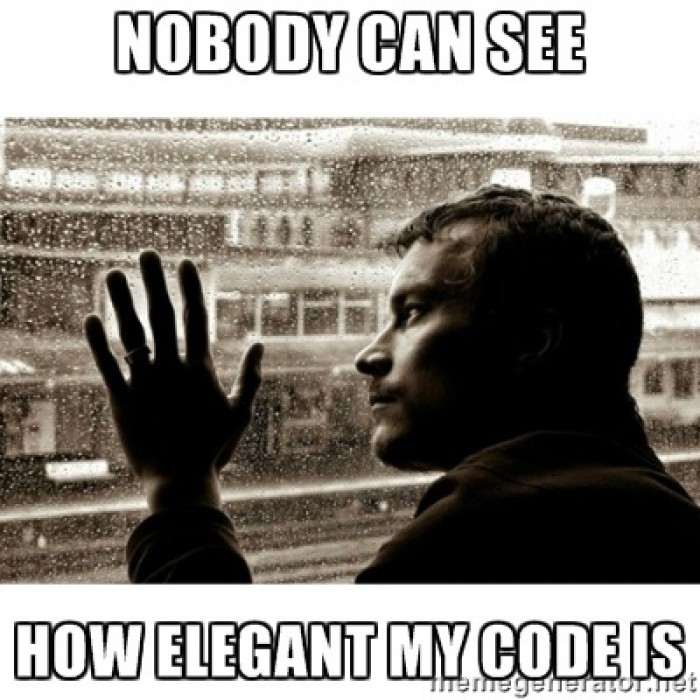 Nobody can see how elegant my code is