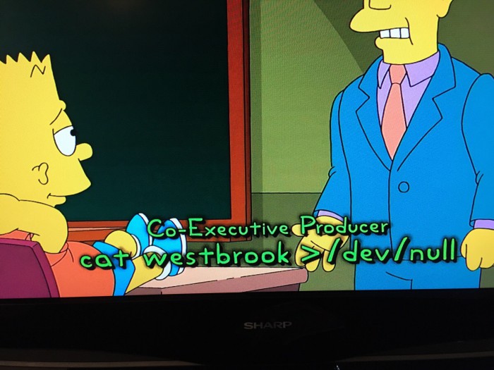Simpsons using Linux
