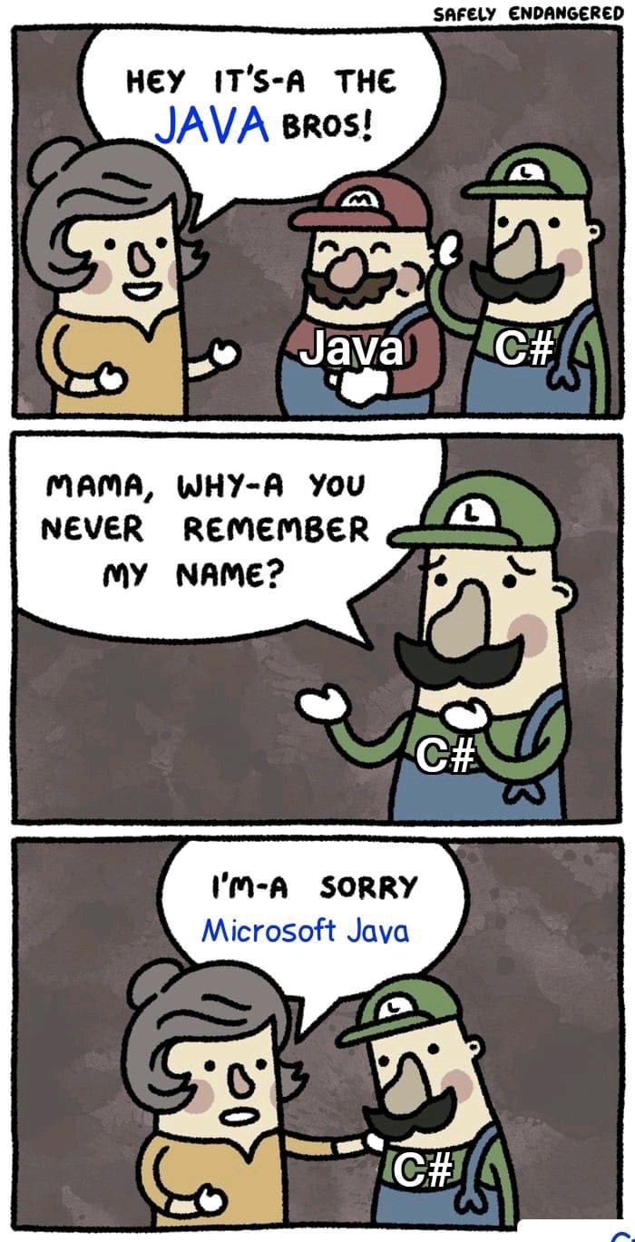 Microsoft Java