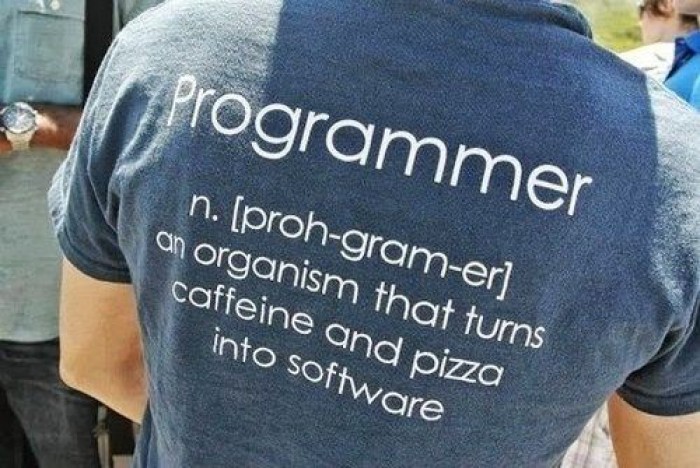 Definition of programmer