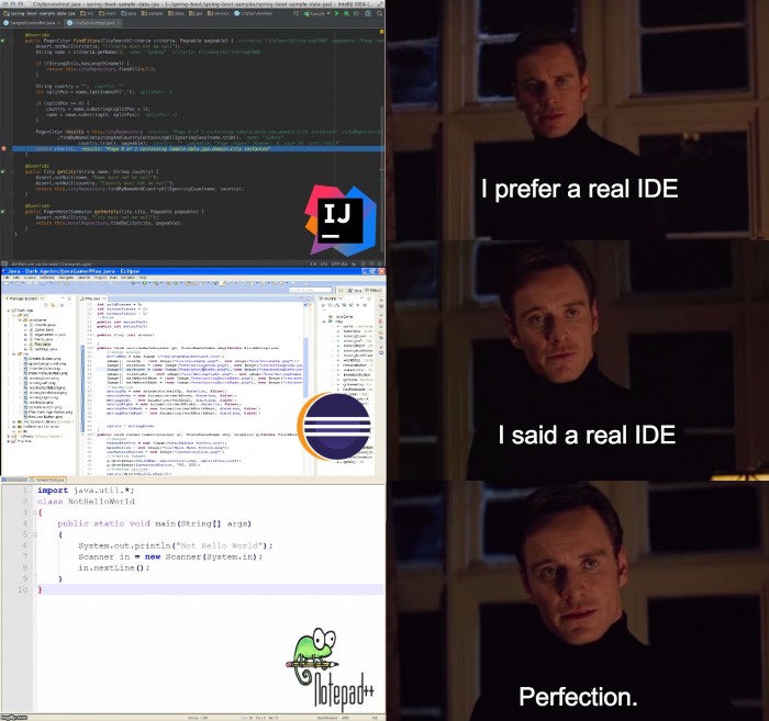 The real IDE